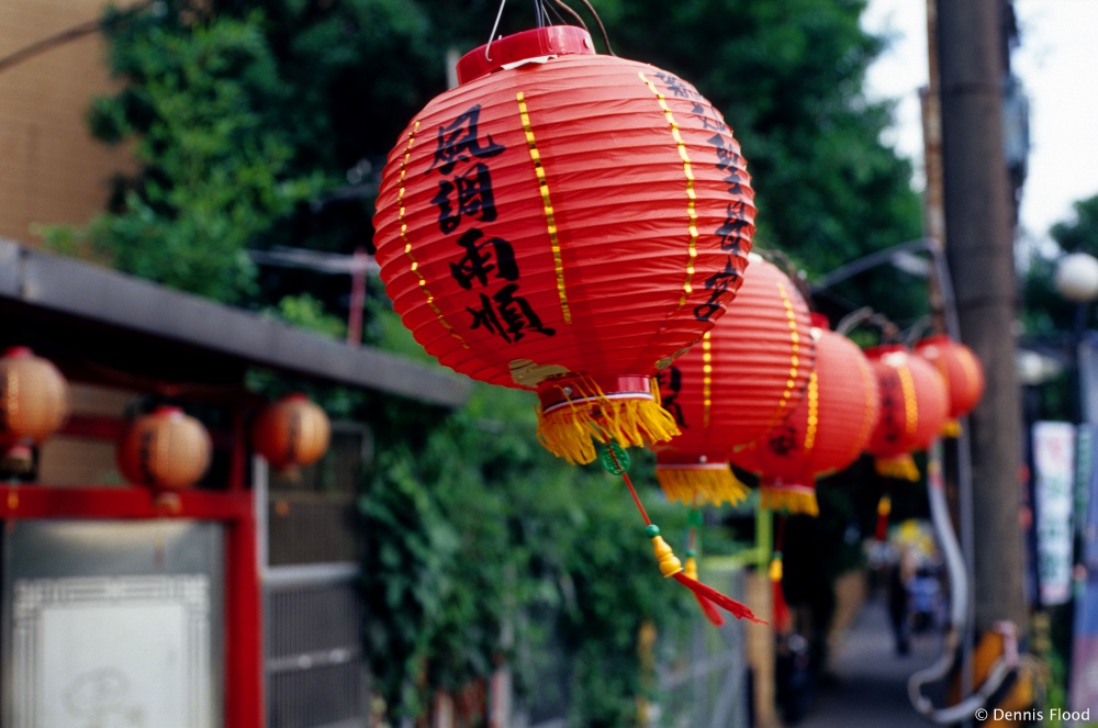 Red Chinese Lanterns Blowing in the Wind