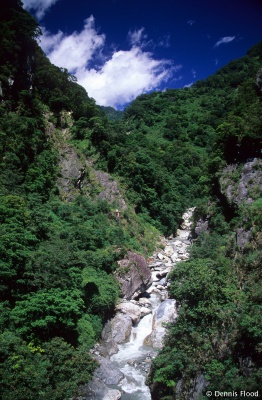 Lush Green Taroko Gorge