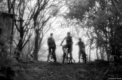 Infrared Backyard Riders