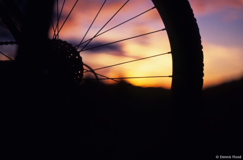 Mountain Bike Wheel at Sunset