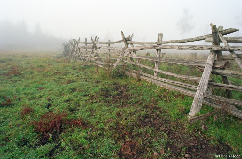 Foggy Wooden Fence