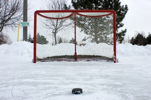 Hockey Net and Puck