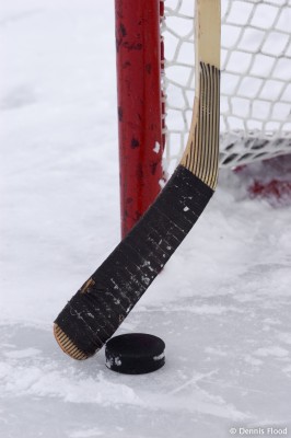 Hockey Stick, Puck and Net