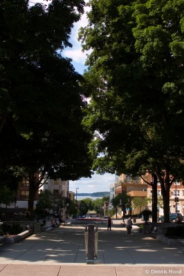 Looking Down North Hamilton Street