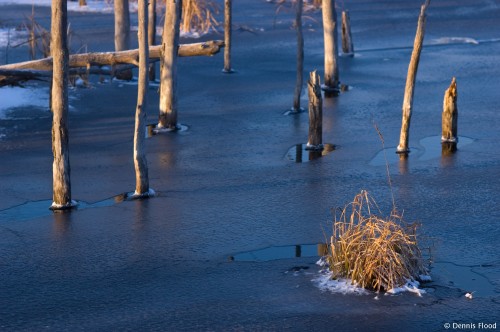 Semi-Frozen Pond