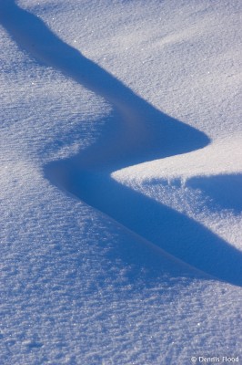 Shapes and Shadows in the Snow