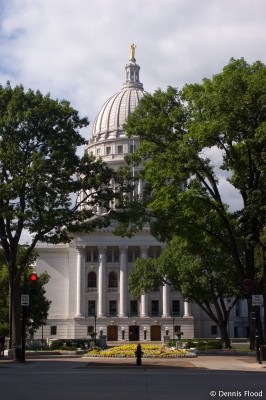 Trees Blocking View of Capitol Building