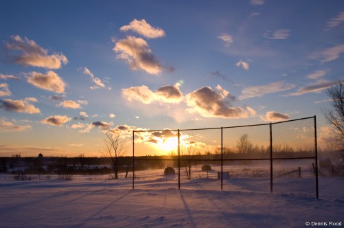 Windy Winter Field