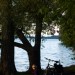 Peaceful Lakeside Reading