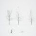 Three Trees in a Blizzard
