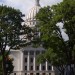 Trees Blocking View of Capitol Building