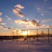 Windy Winter Field