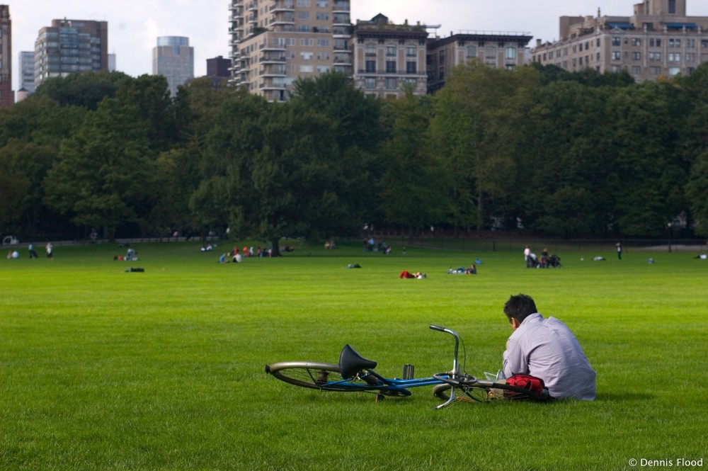 central park. Taking a Break in Central Park