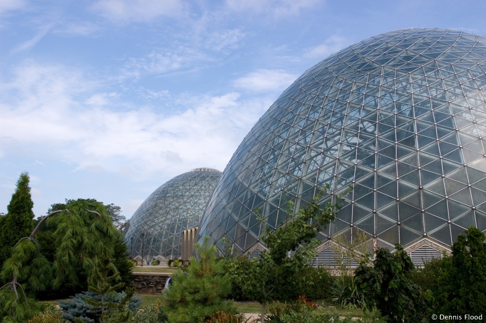 The Domes