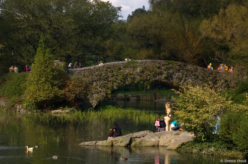 Central Park Bridge