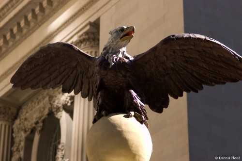 Penn Station Eagle