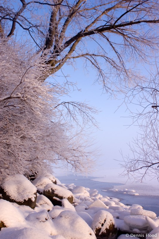 Frosted Shoreline