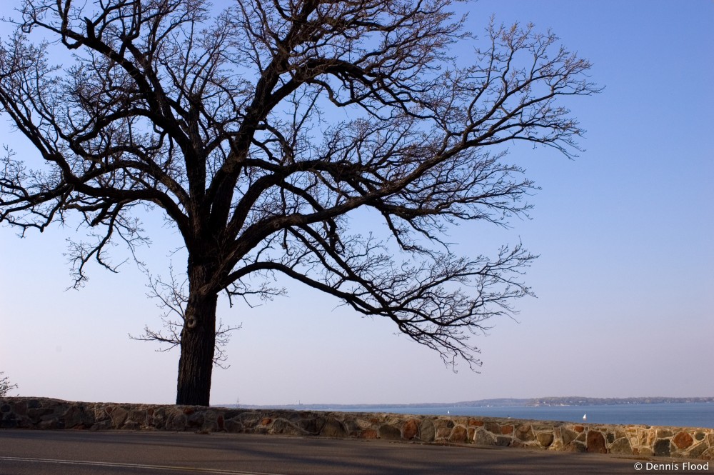 Overlooking Lake Mendota