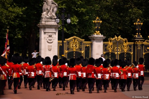 Buckingham Palace Guards