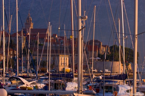 Crowded Harbor