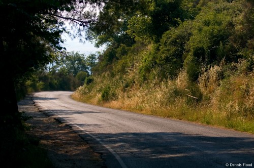 Empty Curved Roadway