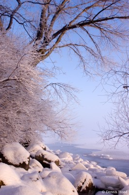 Frosted Shoreline