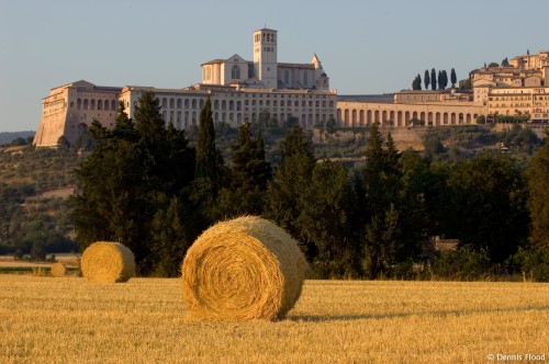 Hay Bales Near Assisi