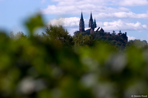 Holy Hill Through the Trees