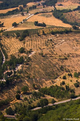 Italian Countryside