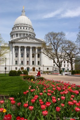 Madison Spring Flowers