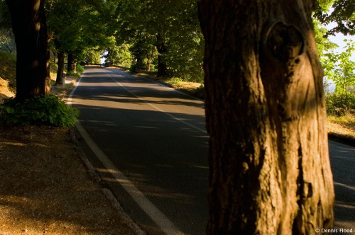 Quiet Road Leading Up to Assisi