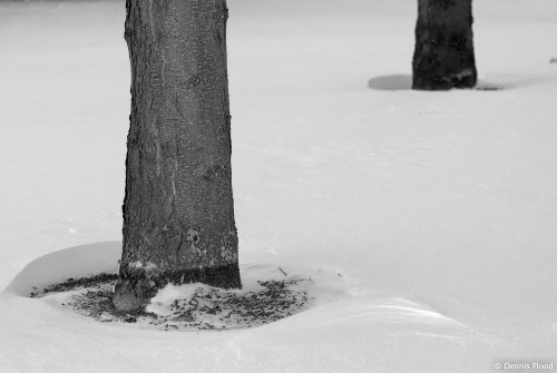 Round Snow Drifts