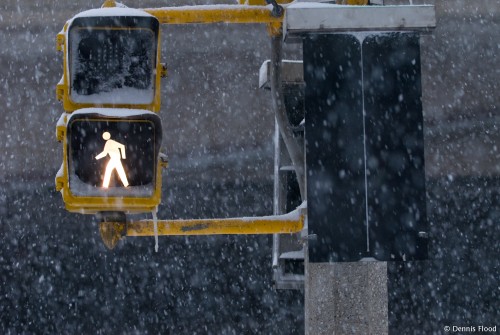 Snowy Crosswalk Signal