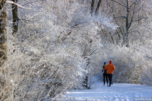 Winter Joggers