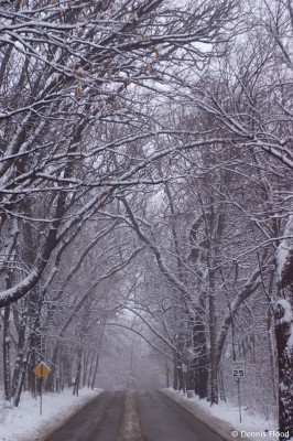 Wintery Road Conditions