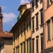 Colorful  Pisa