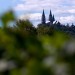 Holy Hill Through the Trees