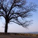 Overlooking Lake Mendota