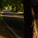 Quiet Assisi Roadway