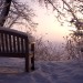 Snow Covered Bench