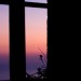 Window Sunset