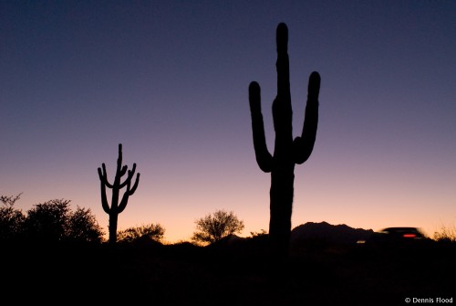 Arizona Desert at Sunset