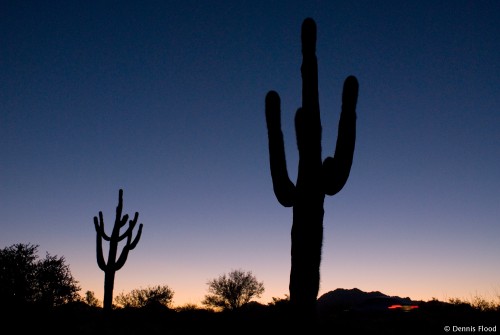 Arizona Desert at Sunset
