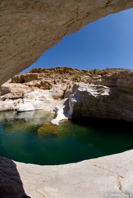 Desert Oasis