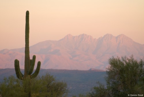 Desert Scene at Dusk