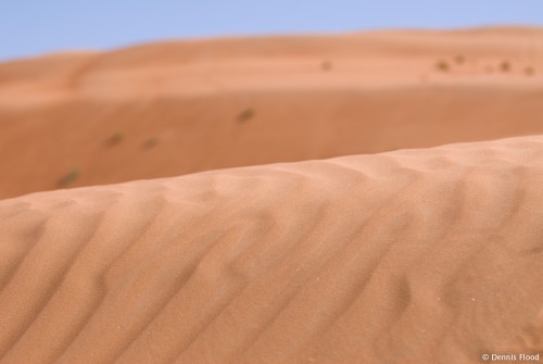 Textures in the Sand Dunes