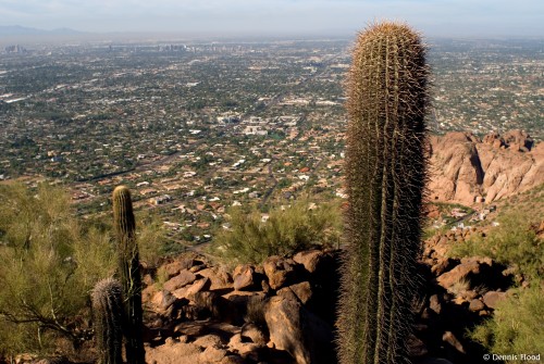 View of Phoenix from Camelback Mountain