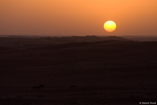 Desert Sunset