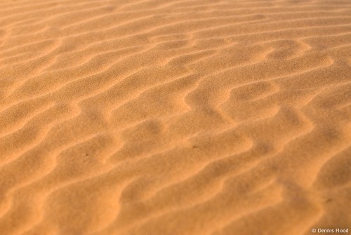Waves in the Sand