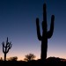 Arizona Desert at Sunset